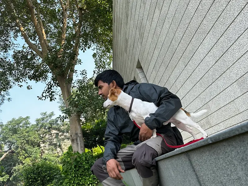 Dog training with Mohit Kumar, photo 4