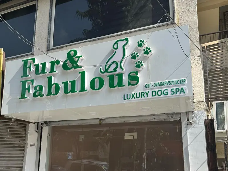 Fur & Fabulous, photo 2