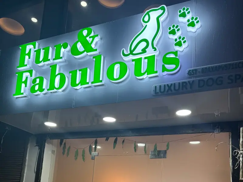 Fur & Fabulous