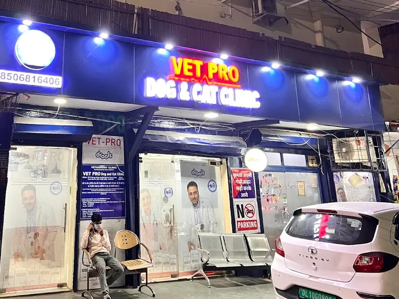 VET PRO Kumar's Dog & Cat Clinic, photo 4