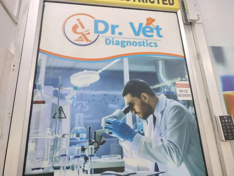Dr. Vet Diagnostics, photo 2
