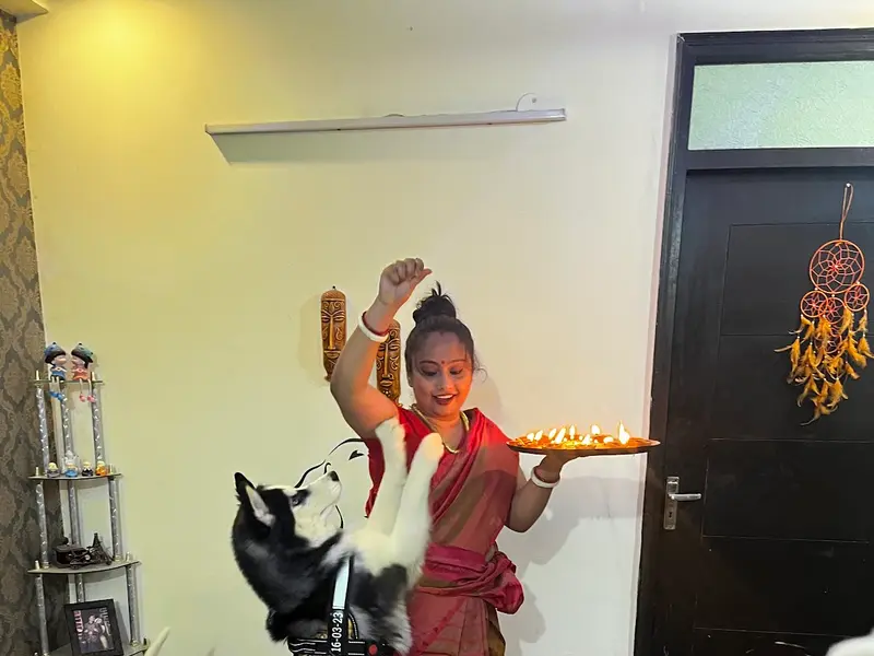 High Paws - Pet Boarding and Daycare in Chhattarpur, photo 4