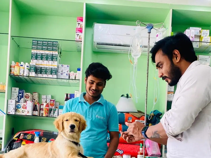 Little Paw's Vet Clinic, photo 2