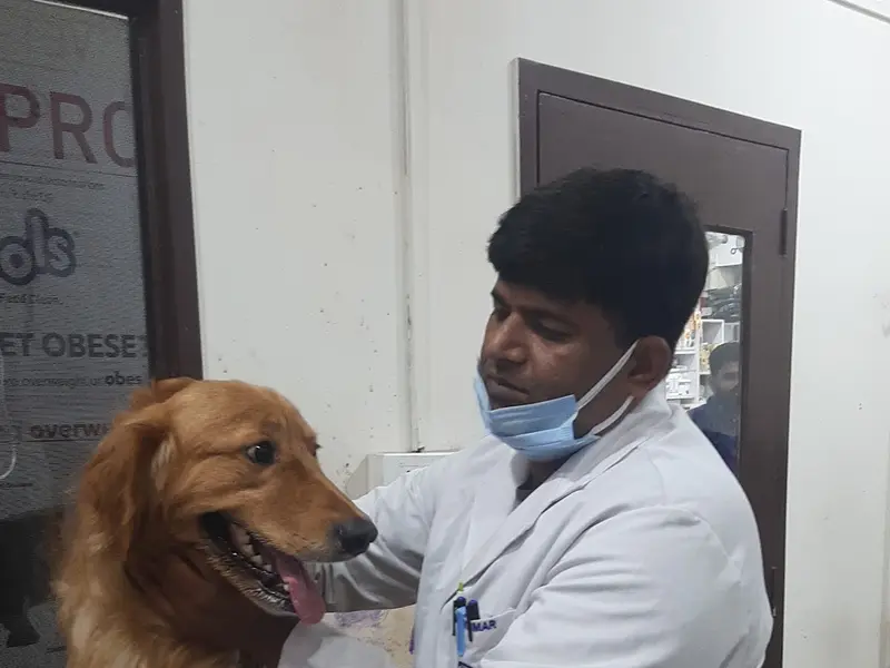 STAR VET MULTISPECIALITY PET HEALTHCARE, photo 4