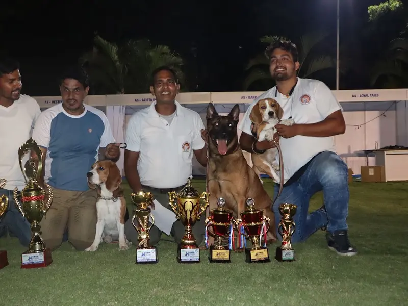 Ashok kumar Dog Trainer, photo 3