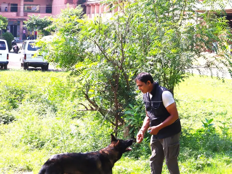 Ashok kumar Dog Trainer, photo 4