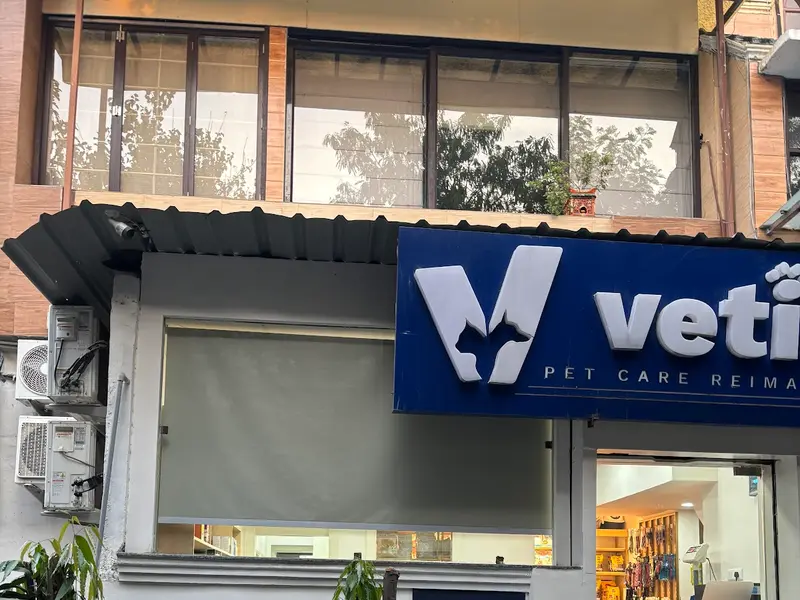Vetic Pet Clinic Defence Colony, photo 2