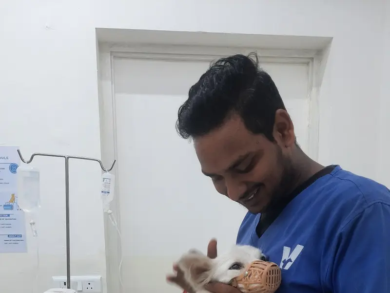 Vetic Pet Clinic Defence Colony, photo 4