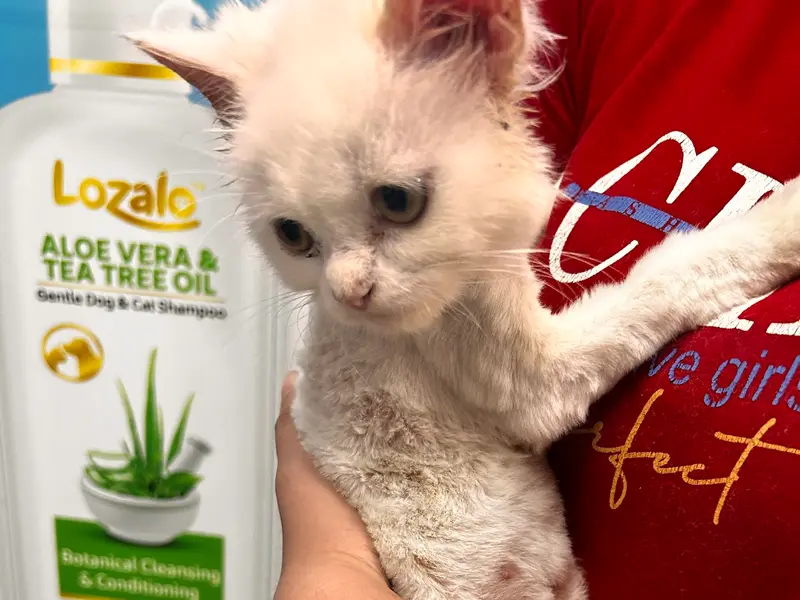 Unique Pet Care Clinic, photo 3