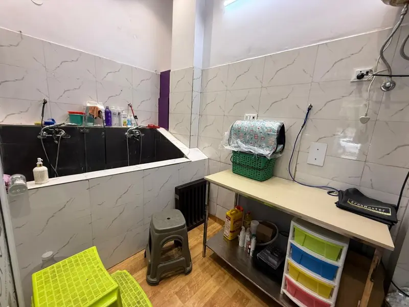 Amaira Pet Shop, photo 3