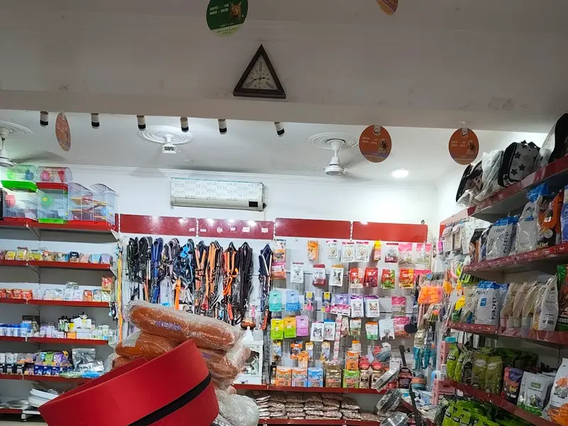 Companion The Ultimate Pet Store !! Pet Shop in Dwarka !!, photo 2