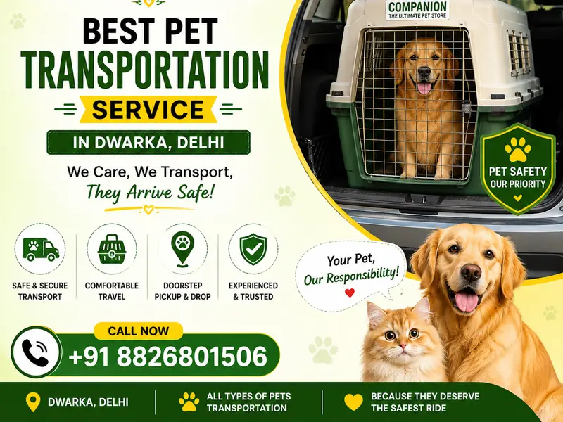 Companion The Ultimate Pet Store !! Pet Shop in Dwarka !!, photo 5