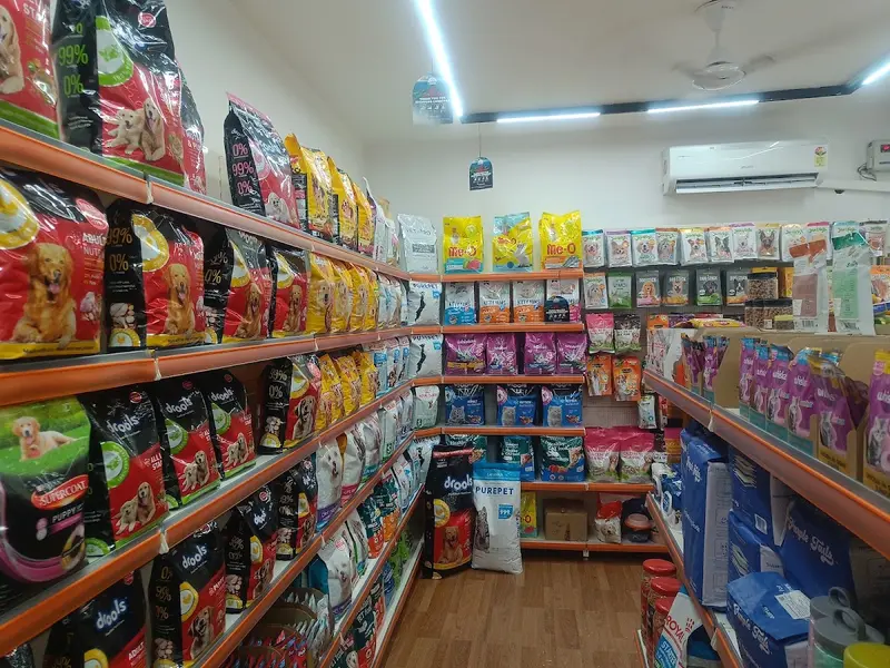 Creative Pet Care - Pet Shop & Grooming Salon | Pet Food in Dwarka | Pet Snacks in Dwarka | Pet Shop in Dwarka, photo 2