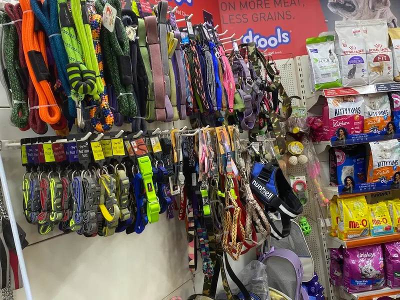 Creative Pet Care - Pet Shop & Grooming Salon | Pet Food in Dwarka | Pet Snacks in Dwarka | Pet Shop in Dwarka, photo 5