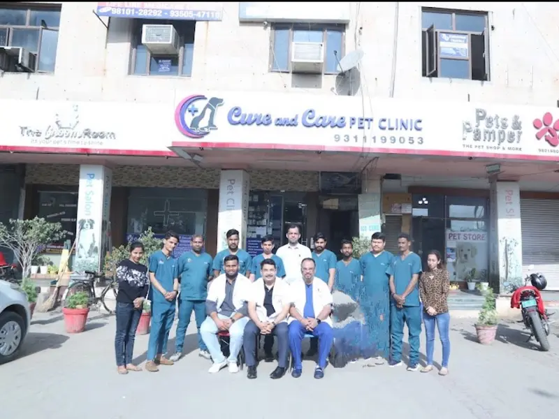 Cure and care pet clinic, photo 3