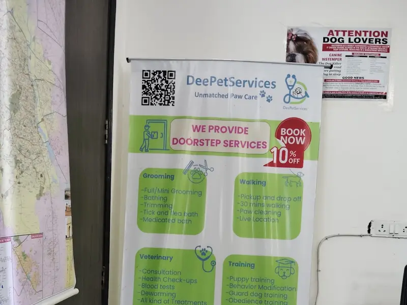 DeePet Services - Vet Doctor, photo 4