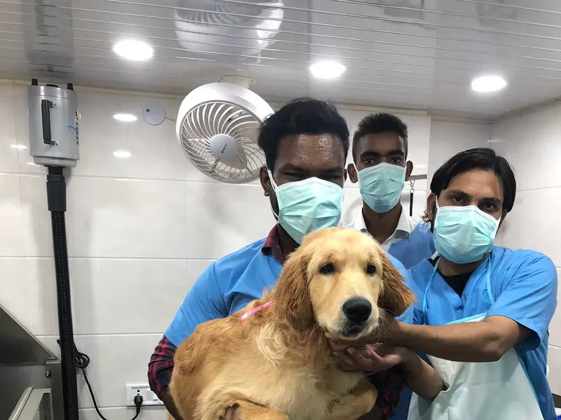 Dr Rahul's Lifeline Pet Clinic, photo 3