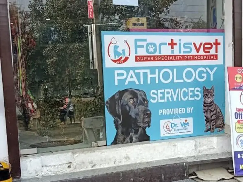 FORTISVET SUPER SPECIALITY PET HOSPITAL, photo 2