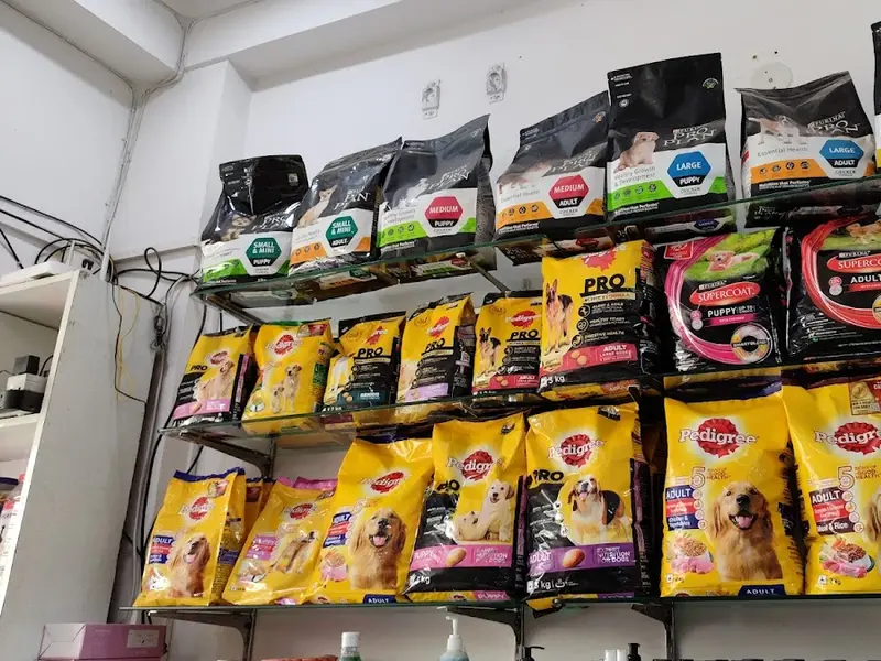 FORTISVET SUPER SPECIALITY PET HOSPITAL, photo 5