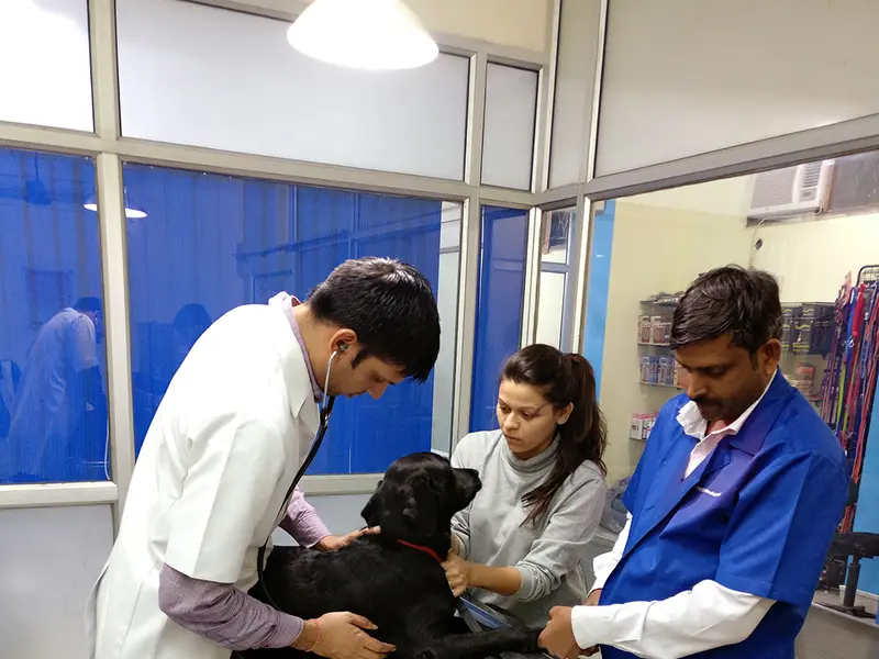 Pet Care Hospital, photo 3