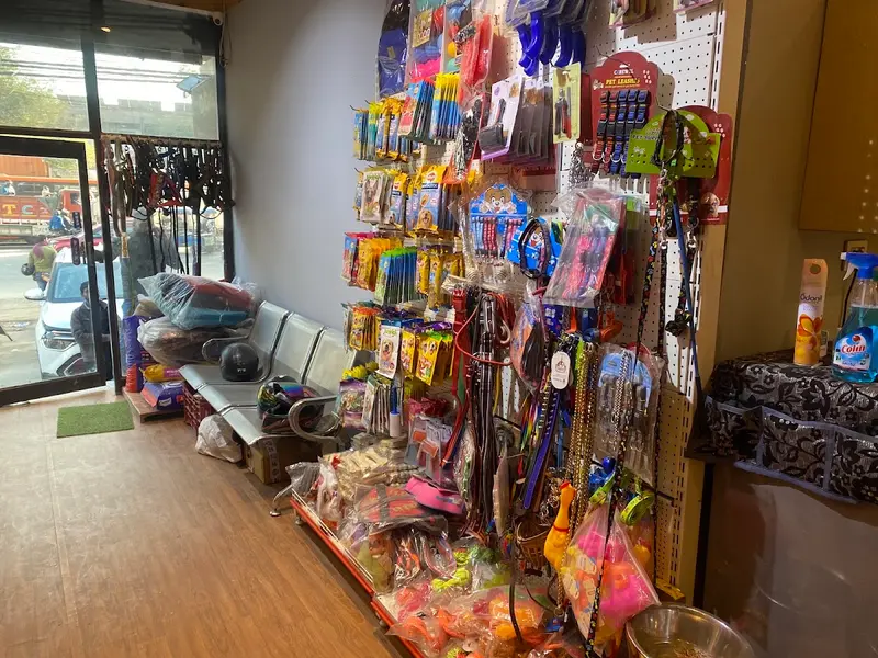 Testify Pet Shop & Dog Clinic-Dogs & Puppies For Sale in Delhi|Gurgaon|Noida|Faridabad|Ghaziyabad, photo 3