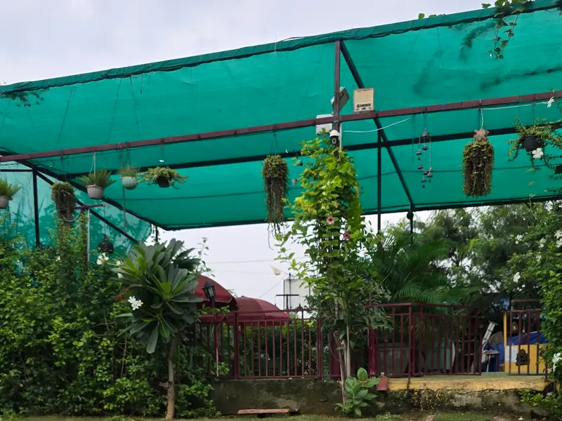 Pet Lovers Hut - Dog Boarding School, photo 4