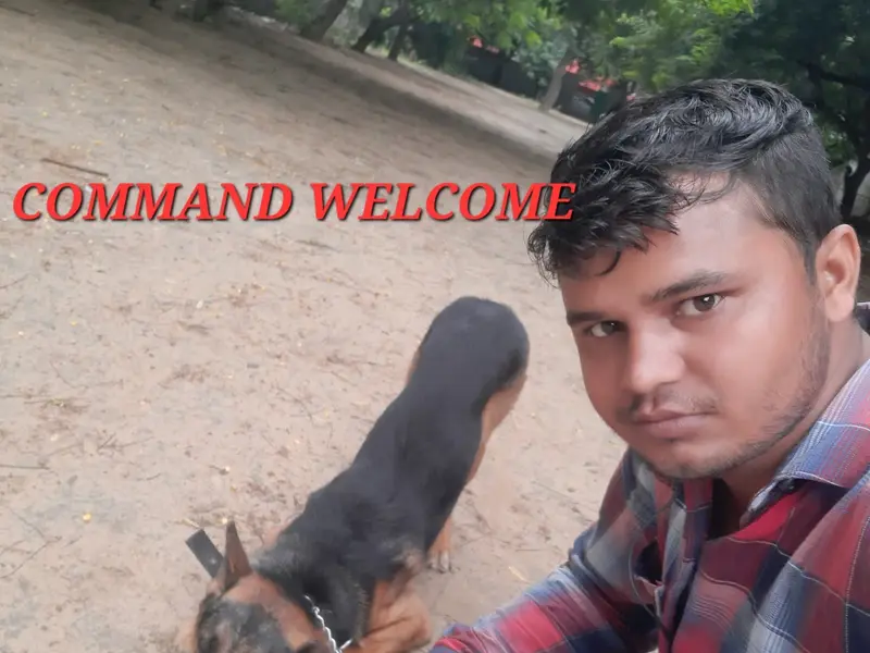 Viresh dog trainer, photo 2