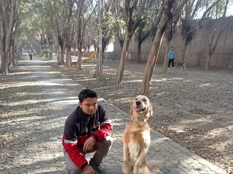 Viresh dog trainer, photo 3