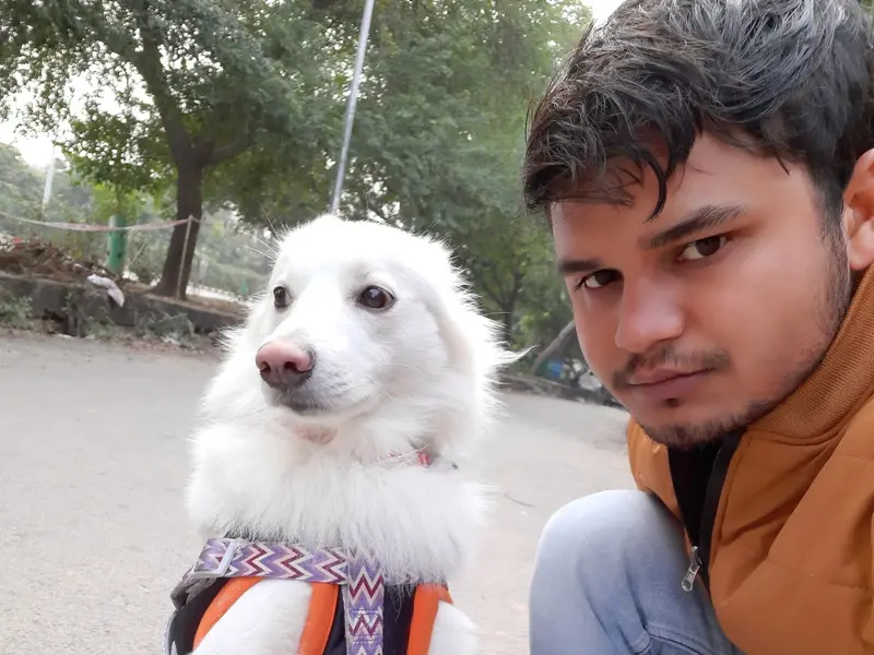 Viresh dog trainer, photo 5