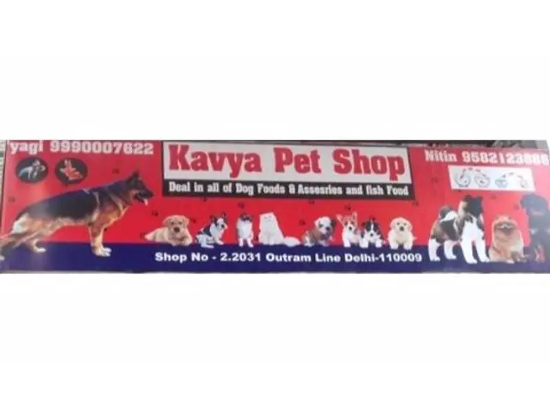kavya pet shop, photo 2