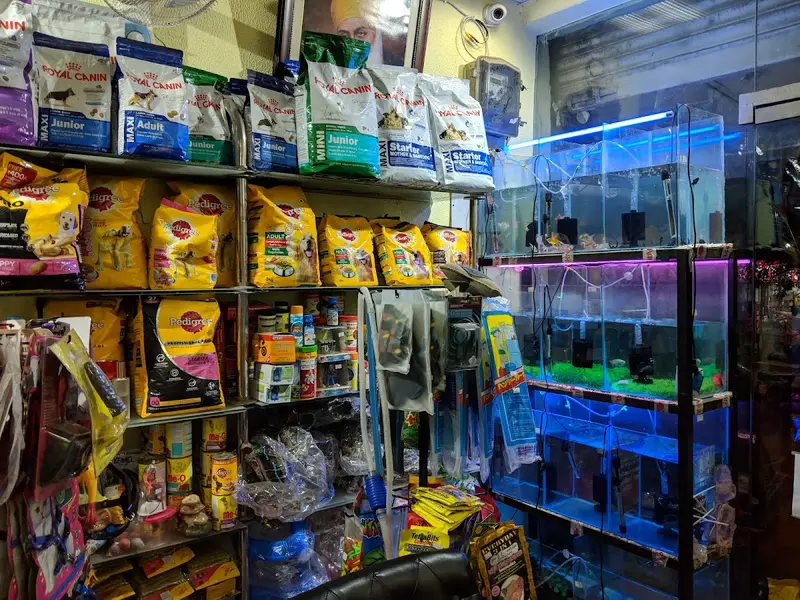 kavya pet shop, photo 5