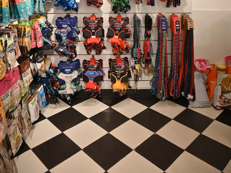 Heads Up For Tails Pet Store | Hauz Khas, Delhi, photo 3