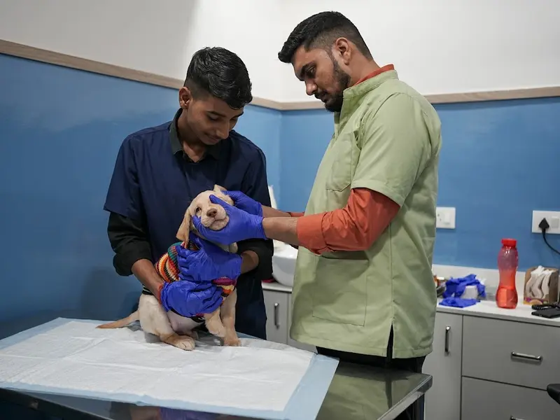 Vetic Pet Clinic SDA Market, photo 2