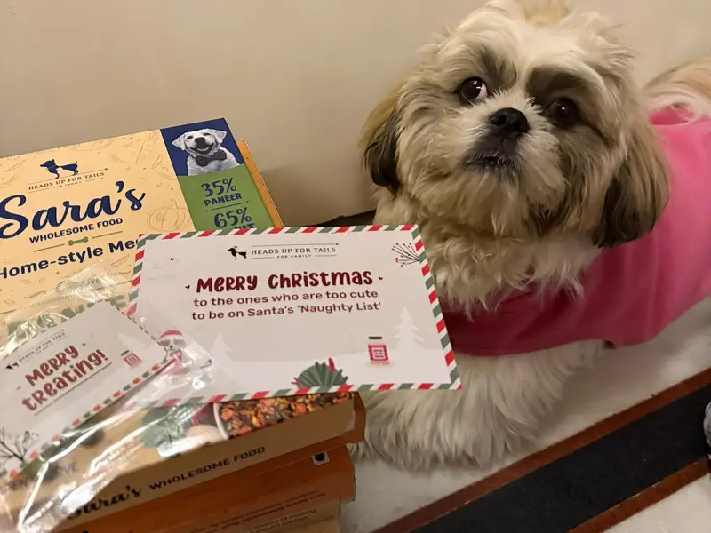 Heads Up For Tails Pet Store & Spa - Janakpuri, New Delhi, photo 4