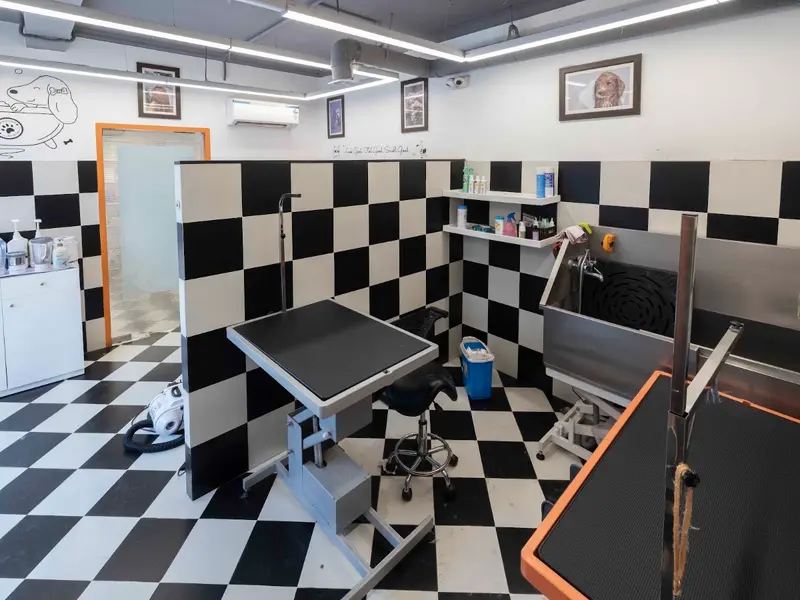 Pet Spa & Grooming by Heads Up For Tails - Janakpuri, New Delhi, photo 2