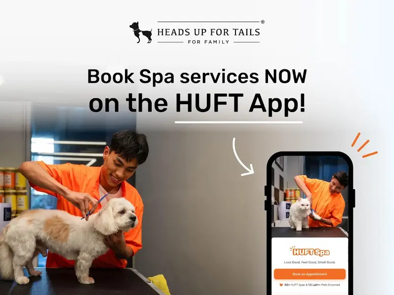 Pet Spa & Grooming by Heads Up For Tails - Janakpuri, New Delhi, photo 3