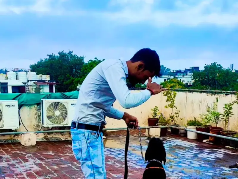 Amit Dog Trainer, photo 4