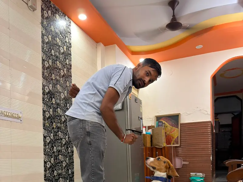 Ankit dog trainer Jhilmil Colony, photo 5