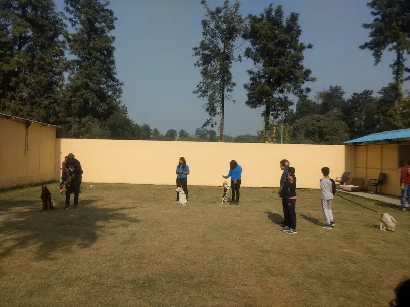 K9 School, photo 2