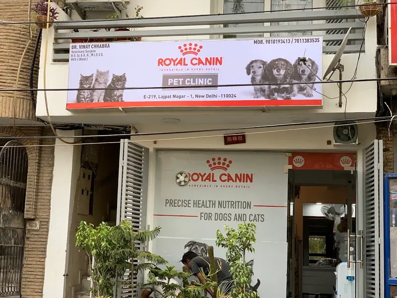 Pet Clinic, photo 4