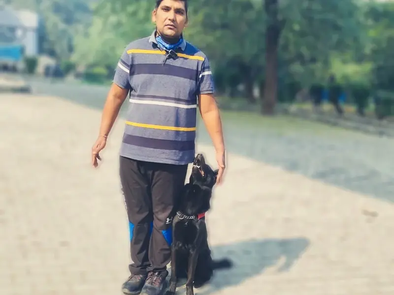 Delhi Dog trainer, photo 2