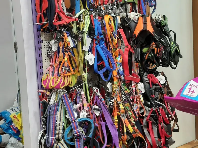 Purple Bone - Pet Shop In South Delhi, photo 4