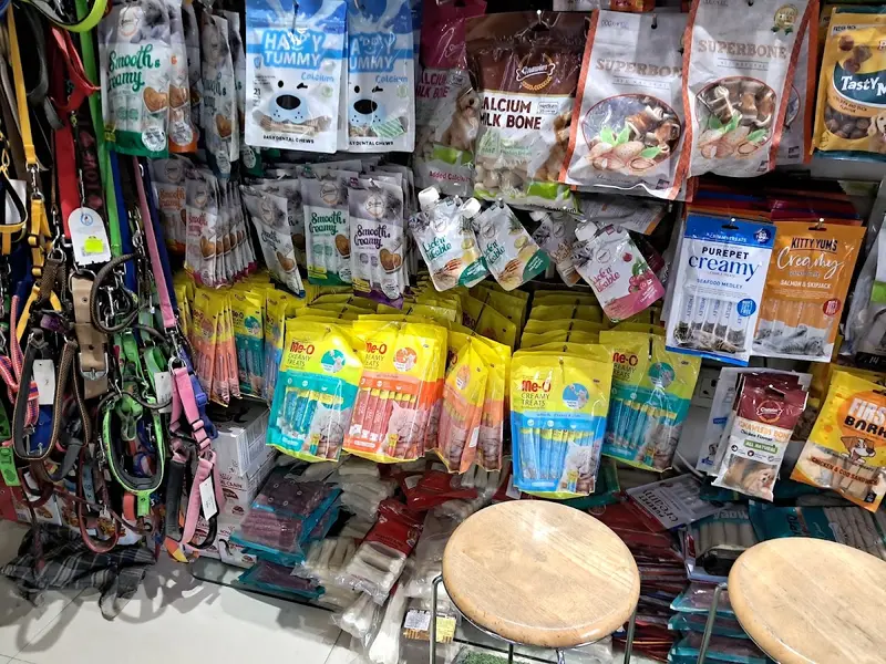 SAMARIA DOG & CAT SHOP (DOG,PUPS & CAT FOR SALE IN DELHI,), photo 4
