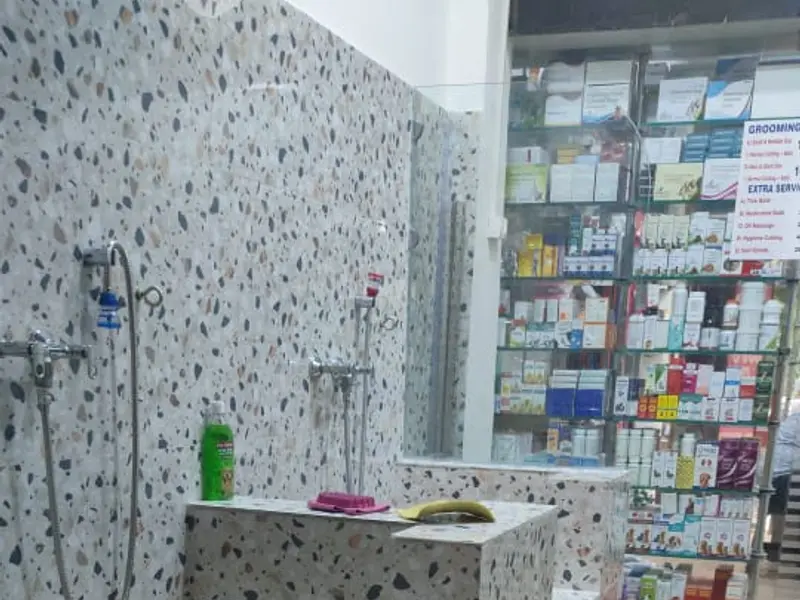 VET PLUS Dog & Cat Clinic South West Delhi, photo 4