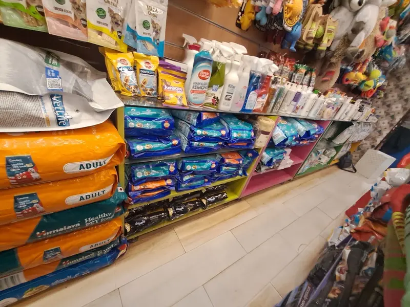 Wisdom Pet Clinic, photo 5