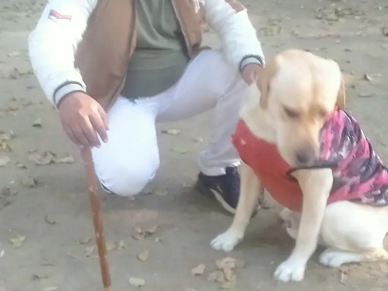 Dog trainer subhash Yadav all breed, photo 4