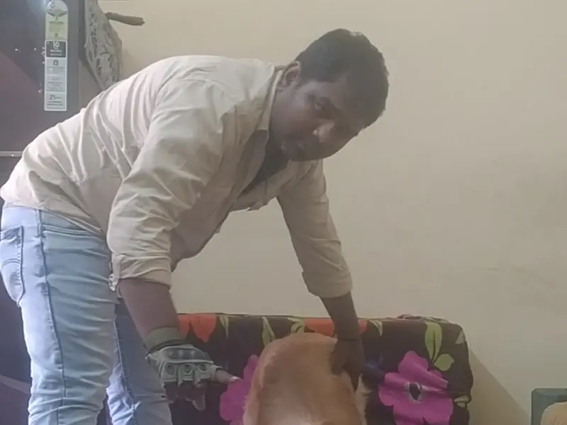 Dog trainer subhash Yadav all breed, photo 5