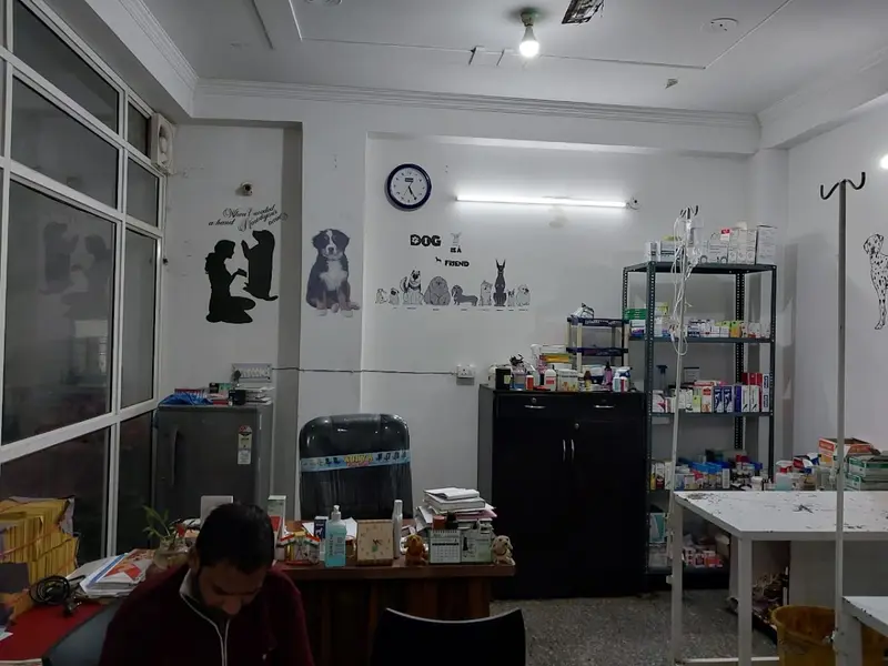 Max Pro Pet Clinic & Surgery Centre, photo 2