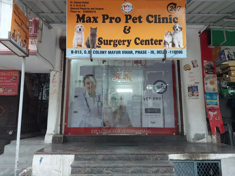 Max Pro Pet Clinic & Surgery Centre