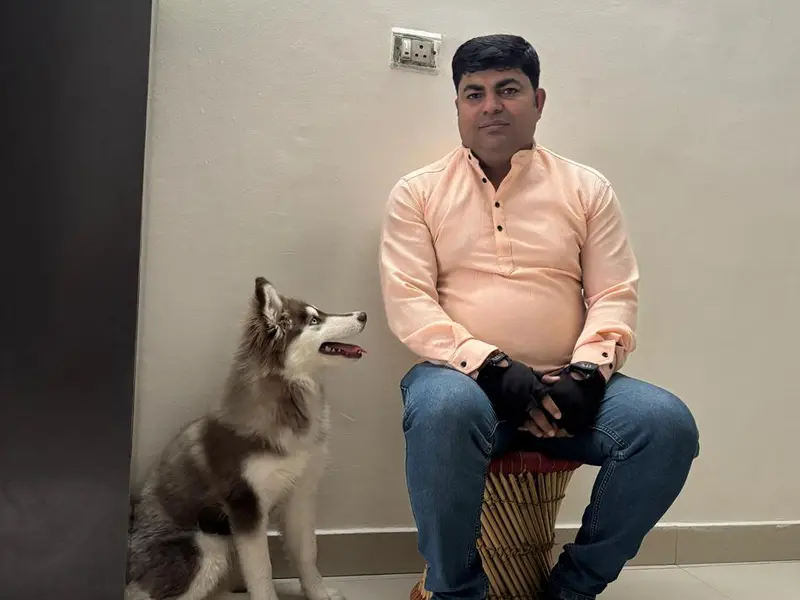 AK DOG GURU DOG TRAINER, photo 3